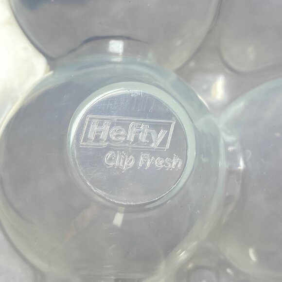 Hefty Clear & Blue Plastic 12-Egg Storage Container With Locking Lid BPA Free - Picture 7 of 16